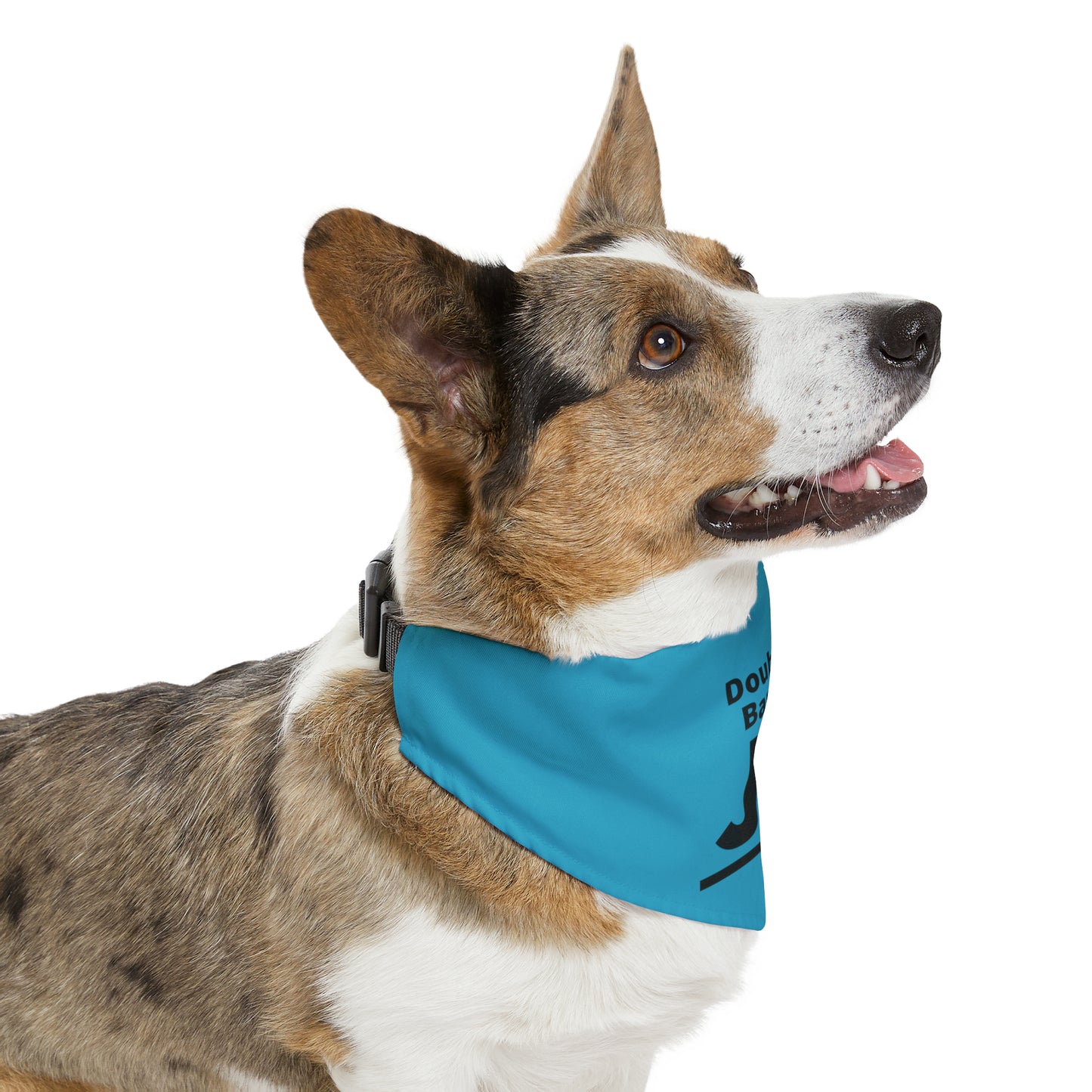 Turqouise Pet Bandana